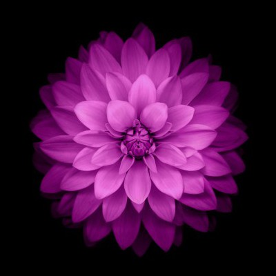 yazhoufeng's avatar