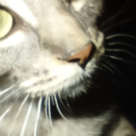FRAN2020's avatar