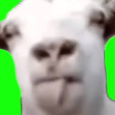 tppp0z's avatar