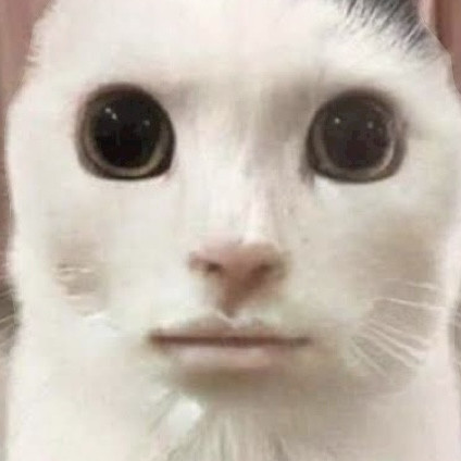 jajaiqqkkqqkkq's avatar