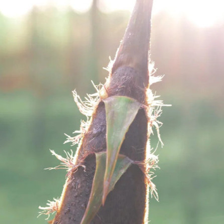 takeda551215's avatar