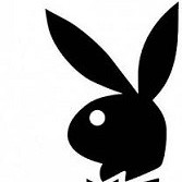 kurousagi's avatar