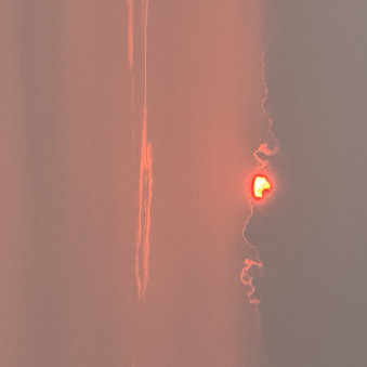 Abict's avatar
