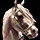 gayumasu12345's avatar