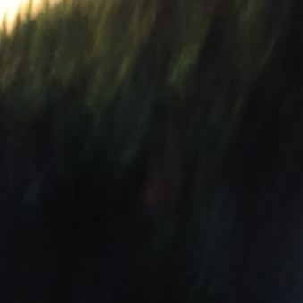 Paakingu's avatar