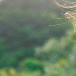 zby01236951's avatar