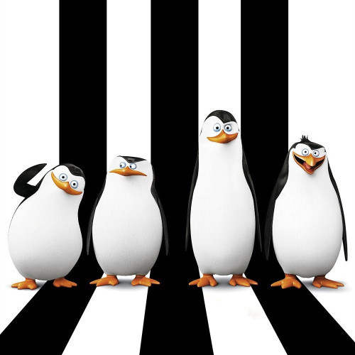 shenmixiaohuo's avatar