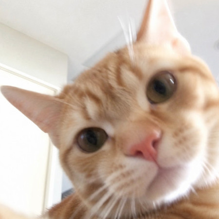 okimudaren's avatar