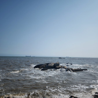 andre114514's avatar