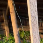 Sengsouly777's avatar