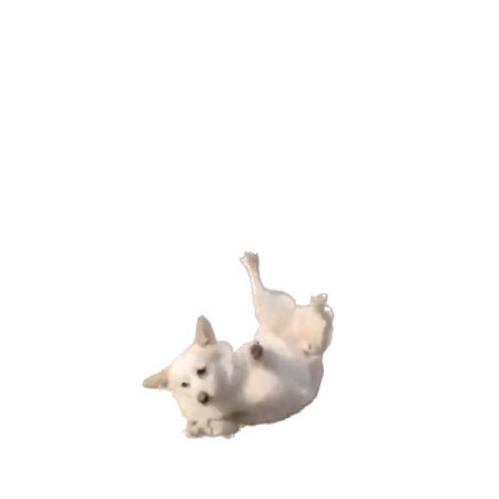 nono45's avatar