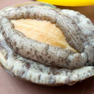 TaigaTENGER's avatar