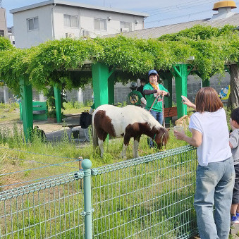 anpnman4545's avatar