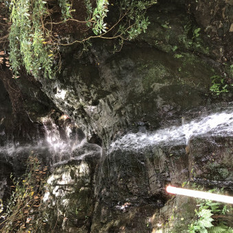 korikorimin's avatar