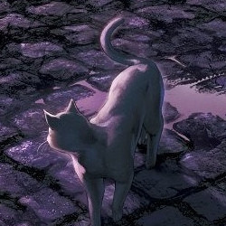 rinjin13's avatar