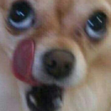 foxtrotbyeyi's avatar