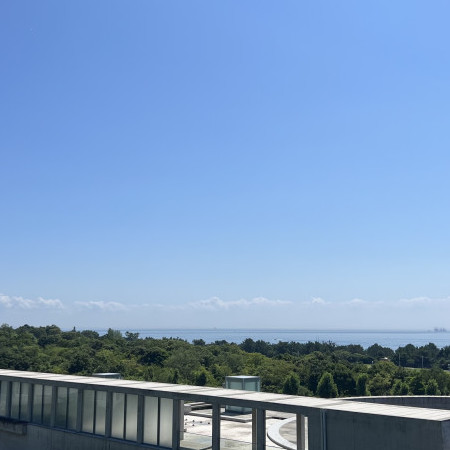 Tatakauotoko's avatar