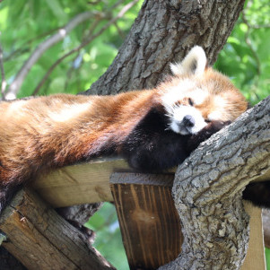 murrrrry's avatar