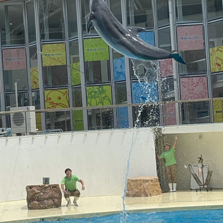 nekoneko300111's avatar