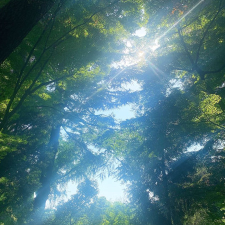 lif3isrisky's avatar