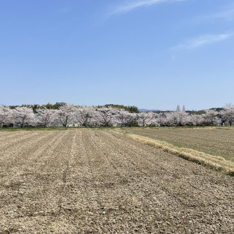 sarasara5524's avatar