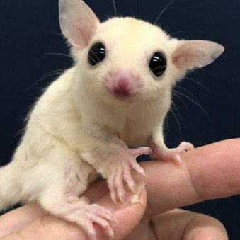 takasamadao002's avatar