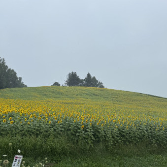 Bananana1234's avatar