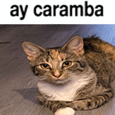 Dickcockballs's avatar