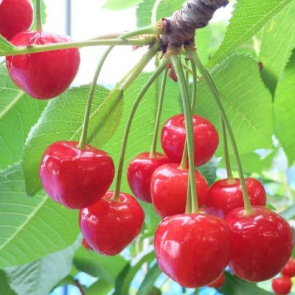 i040043wantyou's avatar