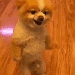 wrsndm's avatar