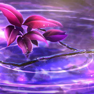 suisuisuisasaki's avatar