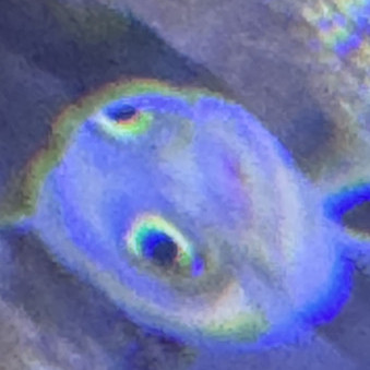dddddd03's avatar