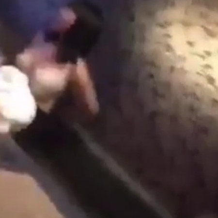 shic0shic0721's avatar