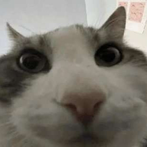 rezzy666's avatar