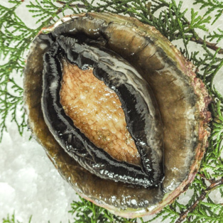 Shin_ch44211's avatar