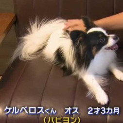 momongamomo's avatar