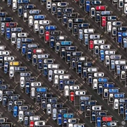 excuseevery's avatar