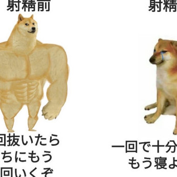 takenokokan's avatar