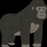 yamapp's avatar