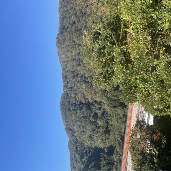 nadesikolove's avatar