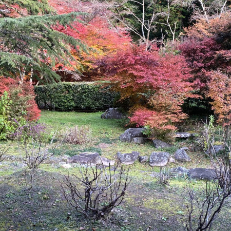 nokonokokinoko's avatar