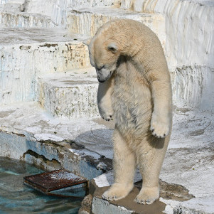 ryusukeniwa2's avatar