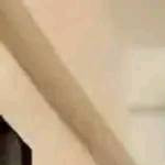 kinkaowkamu's avatar