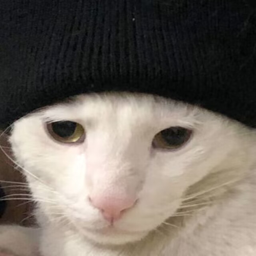 snow331's avatar