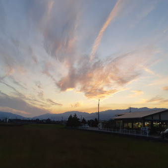 trickstarlight's avatar