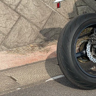 mutekingmax2's avatar