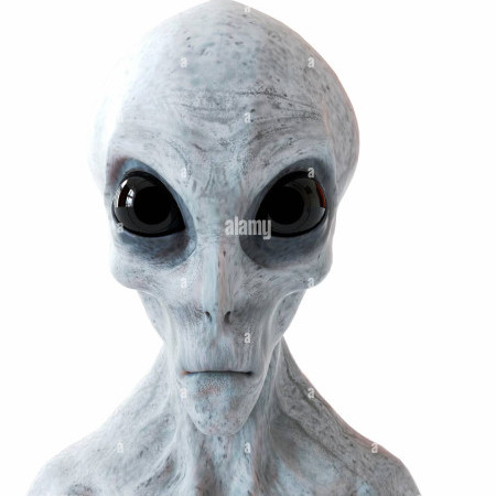 ArblaxSgotrobel's avatar