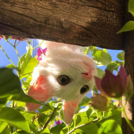 yusukehonda's avatar