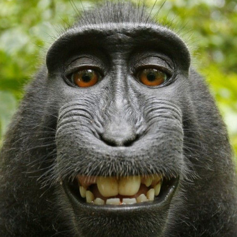 skssaruu's avatar