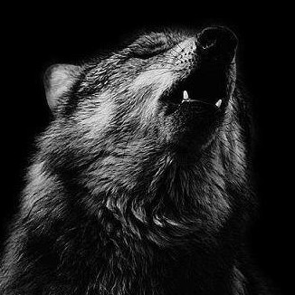 Gocrazy_inher's avatar